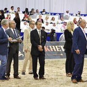 Lisa Abraham: The 2019 Dubai International Arabian Horse Championship