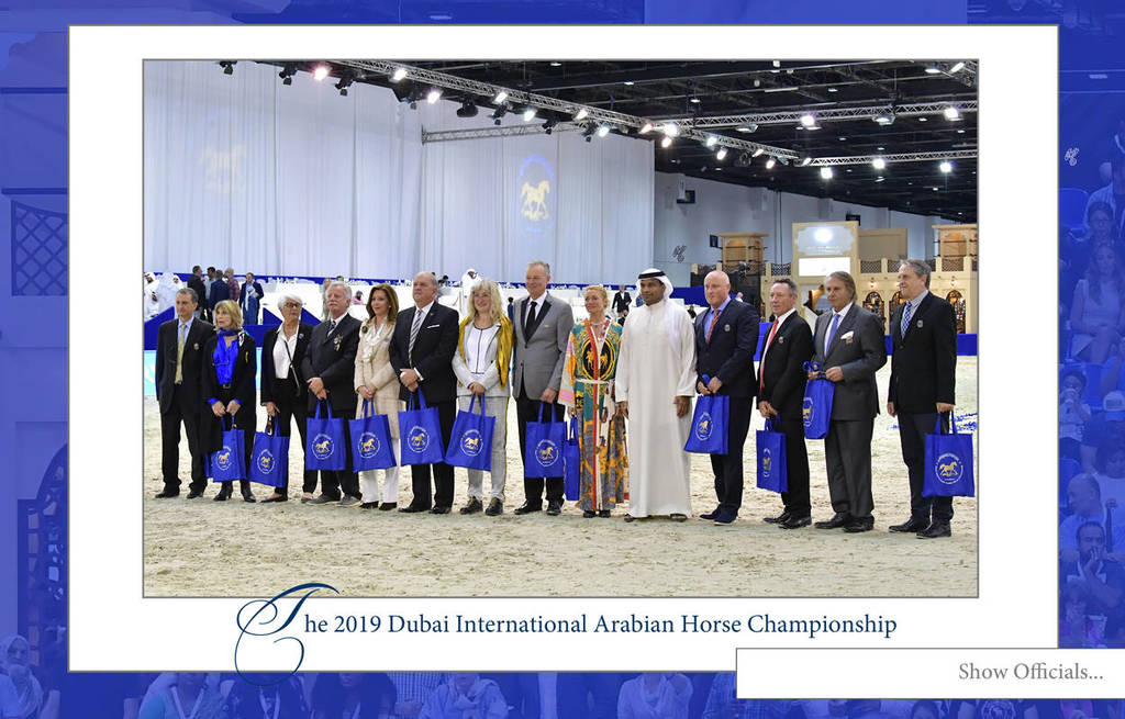 Lisa Abraham: The 2019 Dubai International Arabian Horse Championship
