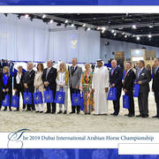 Lisa Abraham: The 2019 Dubai International Arabian Horse Championship