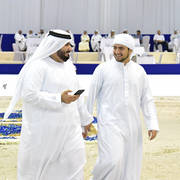 Lisa Abraham: The 2019 Dubai International Arabian Horse Championship