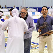 Lisa Abraham: The 2019 Dubai International Arabian Horse Championship