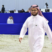 Lisa Abraham: The 2019 Dubai International Arabian Horse Championship