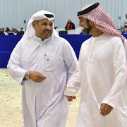 Lisa Abraham: The 2019 Dubai International Arabian Horse Championship