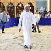 Lisa Abraham: The 2019 Dubai International Arabian Horse Championship