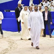 Lisa Abraham: The 2019 Dubai International Arabian Horse Championship