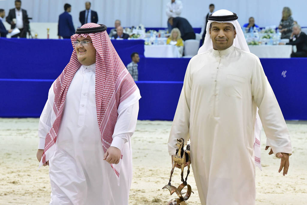 Lisa Abraham: The 2019 Dubai International Arabian Horse Championship