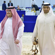 Lisa Abraham: The 2019 Dubai International Arabian Horse Championship