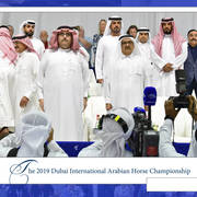Lisa Abraham: The 2019 Dubai International Arabian Horse Championship