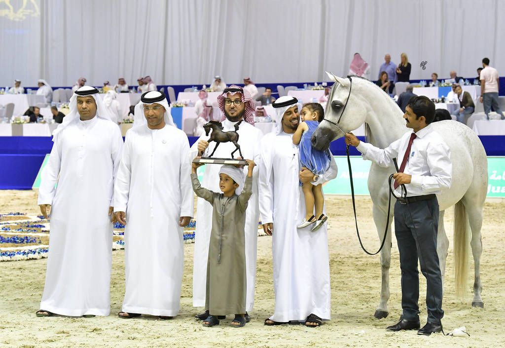 Mares in Age 4-6 Years Old: AJ Reeda