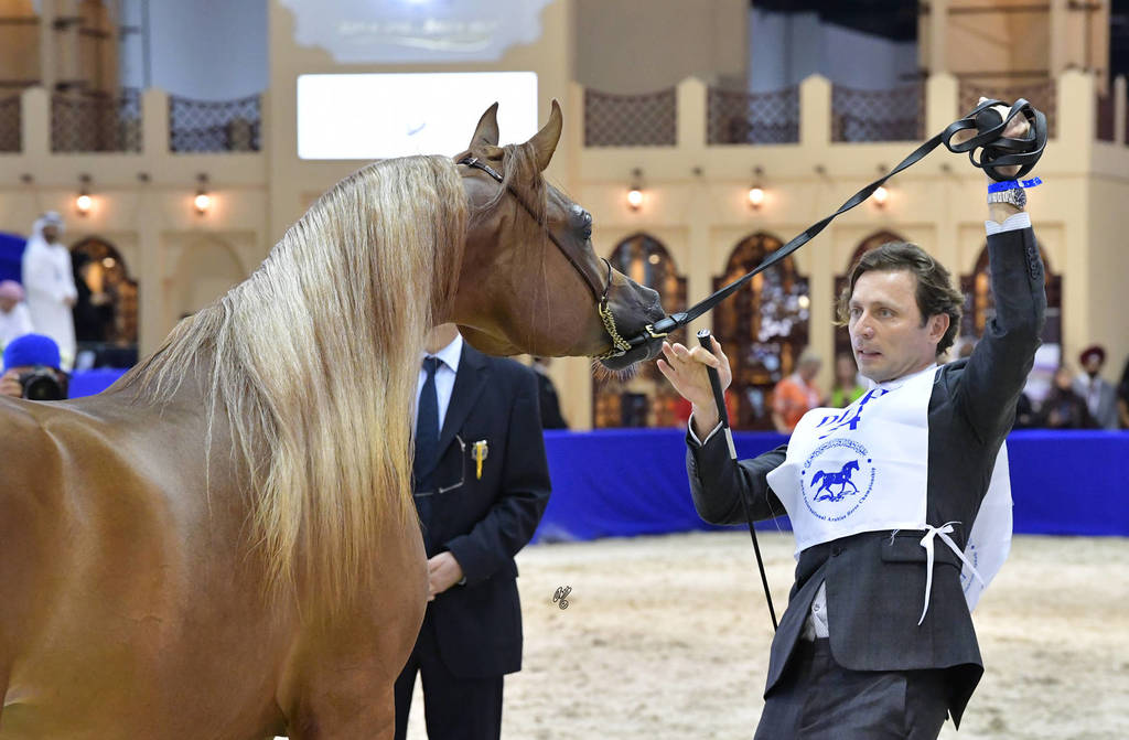 Fillies 2 Years Old: Fola Al Remas