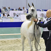 Fillies 2 Years Old: AV Purple Rain