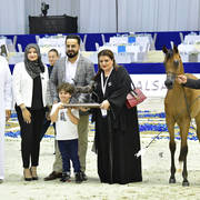 Filly Foal: AJ Samai