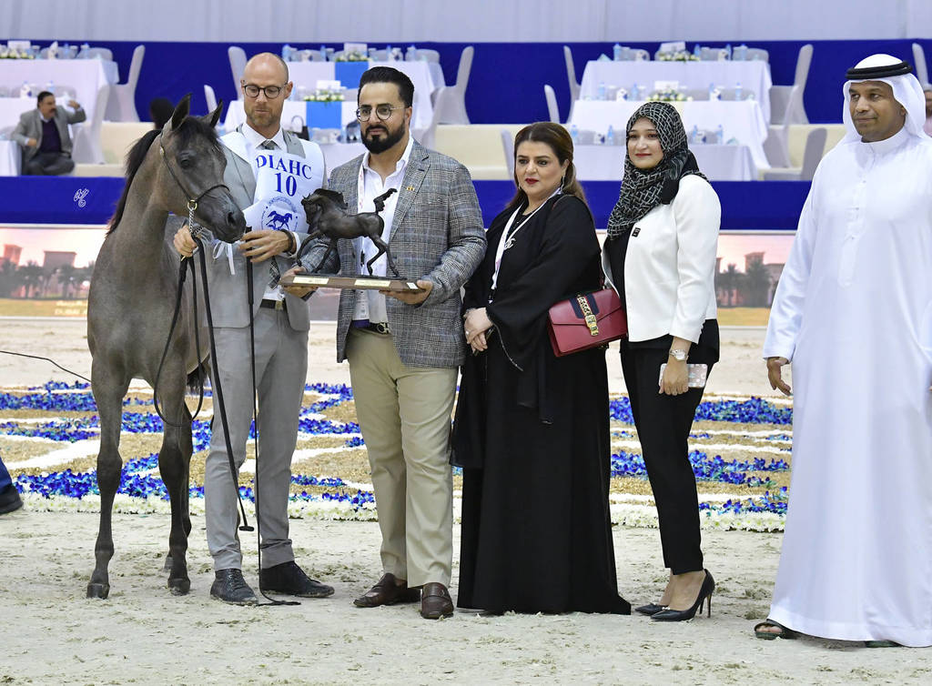 Filly Foal: Jinan Al Zobair