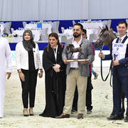 Filly Foal: Fadwa Al Zobair