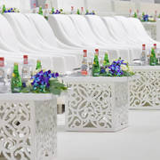 Lisa Abraham: The 2019 Dubai International Arabian Horse Championship