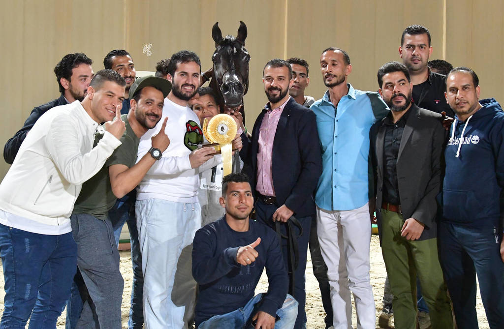 Senior Stallion Gold Champion: Obeyan Al Wazir (Al Lahab X Obeyah Al Wazir)  