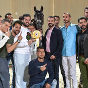 Senior Stallion Gold Champion: Obeyan Al Wazir (Al Lahab X Obeyah Al Wazir)  
