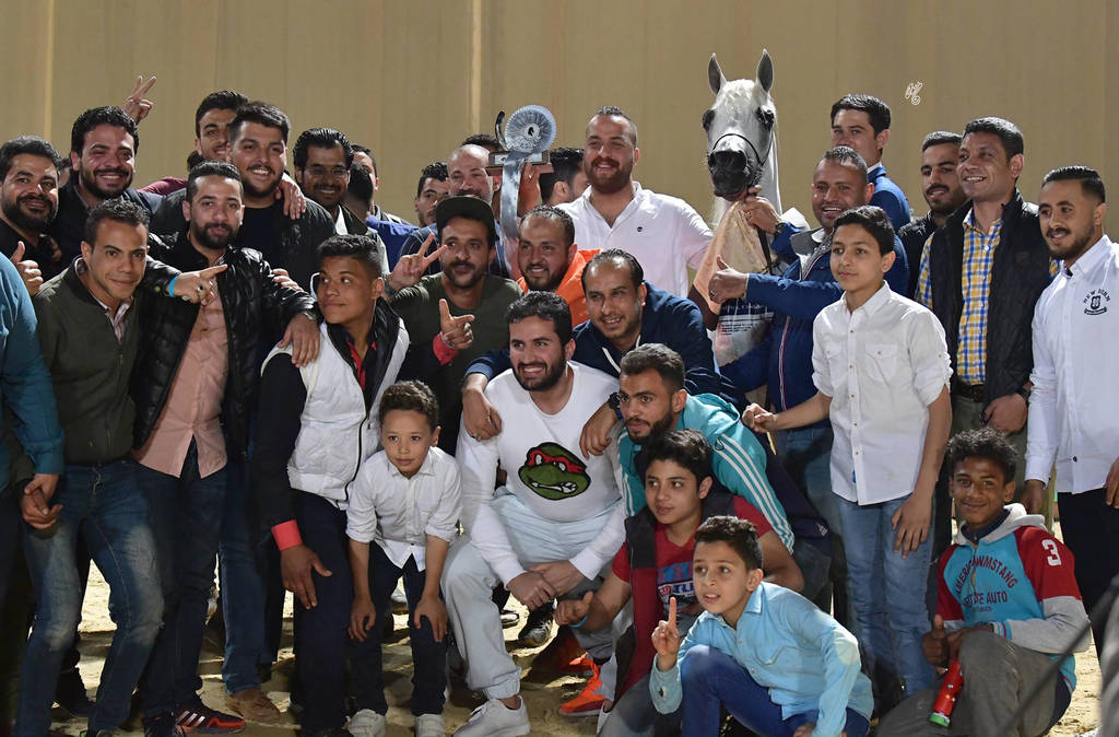 Senior Stallion Silver Champion: Morgan Al Asil (Ameen Ikhnatoon X Morgana Al Asil)  