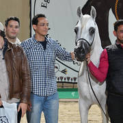 Senior Stallion Bronze Champion: Kenz Taziry (Salman Al Sharbatly X Sarwa)   