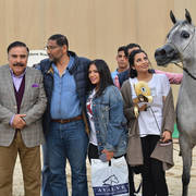 Senior Mare Gold Champion: Amina El Gabry (Jamil Al Rayyan X Maymouna Al Qusar)