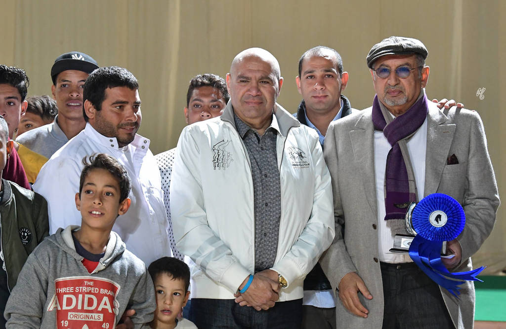 Senior Mare Silver Champion: Dahma Al Najdiah (GR Maarif X Leilah Al Najdiah)