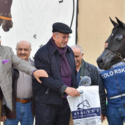 Senior Mare Silver Champion: Dahma Al Najdiah (GR Maarif X Leilah Al Najdiah)
