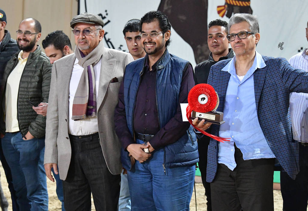 Senior Mare Bronze Champion: Dareen Athbah (Farhoud Al Shaqab X El Sayyeda)