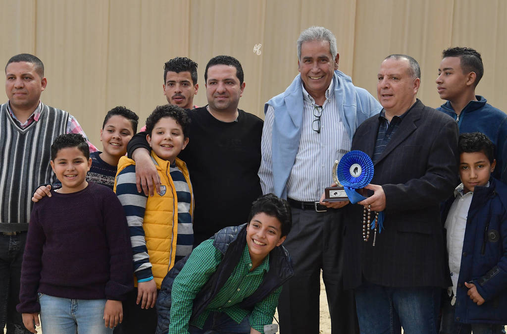 Junior Colt Gold Champion: Saqr Oony (Al Pasha Oony X Salma Al Sayyad)