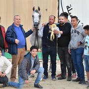 Junior Colt Gold Champion: Saqr Oony (Al Pasha Oony X Salma Al Sayyad)