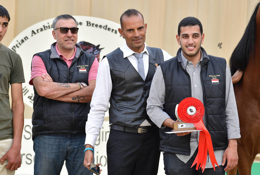 Junior Colt Silver Champion: Yazeid Al Bawady (Madeen Al Nakeeb X Yara  Al Bawady)