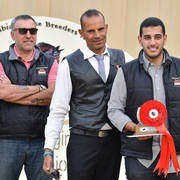 Junior Colt Silver Champion: Yazeid Al Bawady (Madeen Al Nakeeb X Yara  Al Bawady)