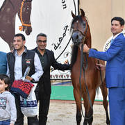 Junior Colt Silver Champion: Yazeid Al Bawady (Madeen Al Nakeeb X Yara  Al Bawady)