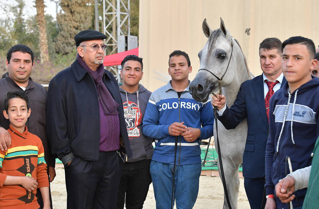 Junior Colt Bronze Champion: Gharam Rabab (TB Sahem X Rowaeda Al Kaherah)  