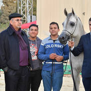Junior Colt Bronze Champion: Gharam Rabab (TB Sahem X Rowaeda Al Kaherah)  