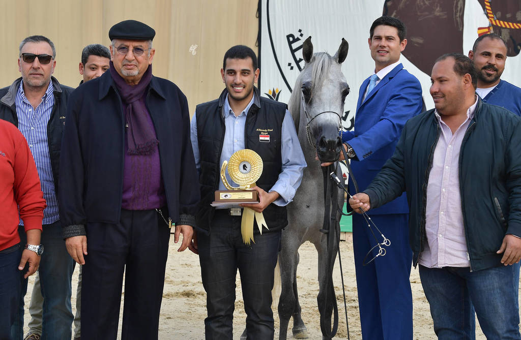 Junior Filly Gold Champion: Lobna Al Bawady (Madeen Al Nakeeb X Sawahy Al Bawady)