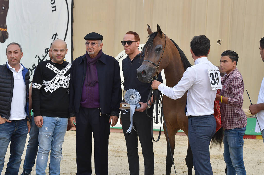 Junior Filly Silver Champion: Ghalia Al Gammal (Mirajh RCA X Kenouz Abou El Fadl)