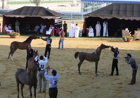 2007 Qatar, Doha
