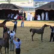 2007 Qatar, Doha