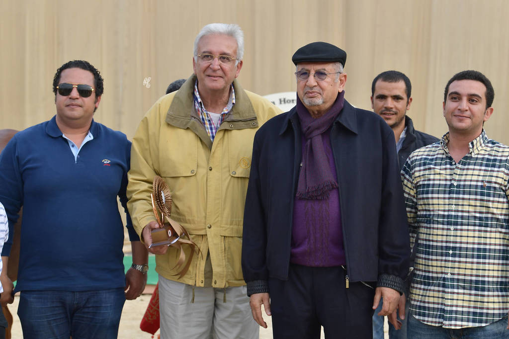 Junior Filly Bronze Champion: Baheya Al Najdeiah (GR Lahari X Leila Al Njdeiah)