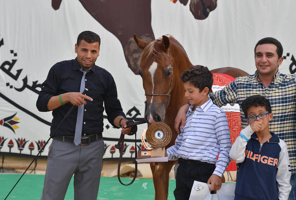 Junior Filly Bronze Champion: Baheya Al Najdeiah (GR Lahari X Leila Al Njdeiah)