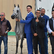 Yearling Colt Gold Champion: Wadi Al Bawady (Hamad X Wasfeya Al Bawady)