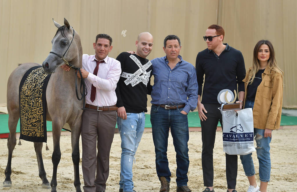 Yearling Colt Silver Champion: Magd Al Gammal (Madeen Al Nakeeb X Toffaha Abou El Fadl)  