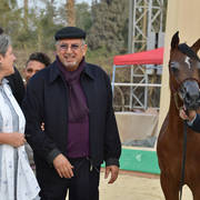 Yearling Colt Bronze Champion: Karam Rabab (Kumait Al Nakeeb X Karma Al Sogoud)  