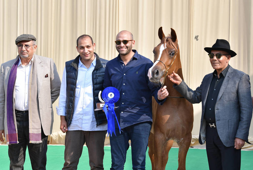 Yearling Filly Gold Champion: Morouj Al Sujoud (Marij Al Masry X Malikat Al Jannat )  