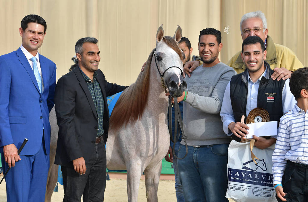 Yearling Filly Bronze Champion: Hana Al Bawady (Dessouki Al Bawady X Hala Al Bawady)