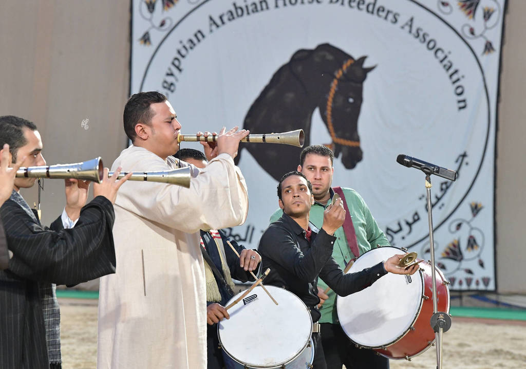 Lisa Abraham: The 2019 Egypt Specific Origin Arabian Horse Championship Photo Gallery