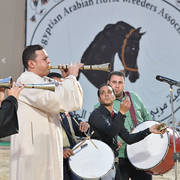 Lisa Abraham: The 2019 Egypt Specific Origin Arabian Horse Championship Photo Gallery