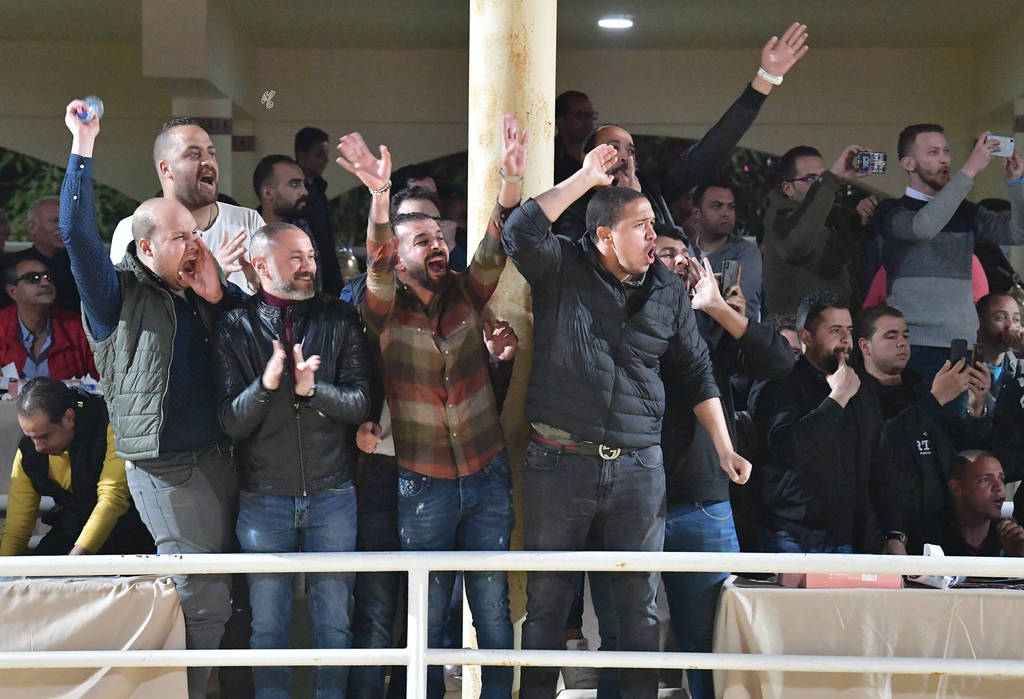 Lisa Abraham: The 2019 Egypt Specific Origin Arabian Horse Championship Photo Gallery