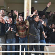 Lisa Abraham: The 2019 Egypt Specific Origin Arabian Horse Championship Photo Gallery