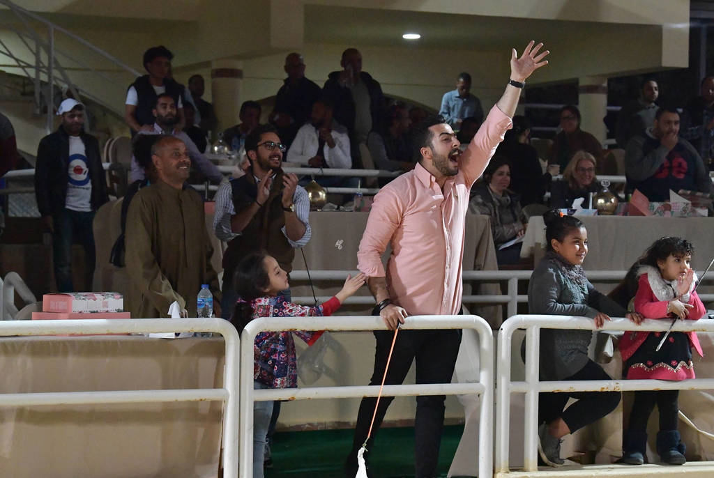 Lisa Abraham: The 2019 Egypt Specific Origin Arabian Horse Championship Photo Gallery